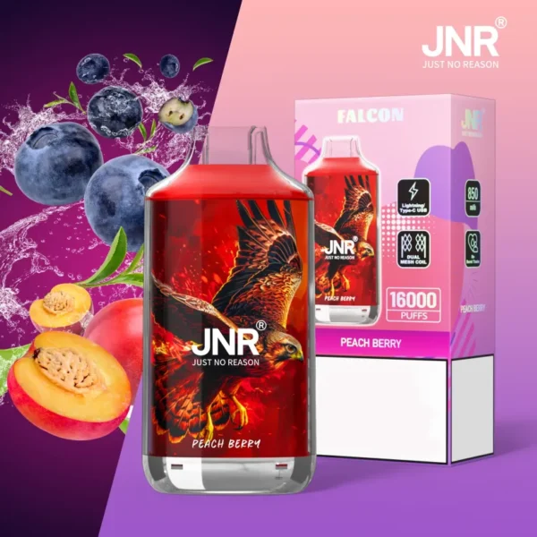 12 JNR Falcon 16000 Puffs Disposable Vape